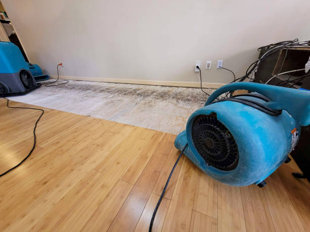 Professional Flood Damage Cleanup technician working in Montgomery, PA